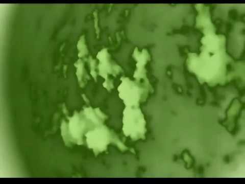 Black Room Universe - Cosmic Vortex