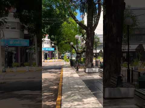 Realmente es muy linda esta boulevard en pleno centro de La Lucila en #vicente López #shorts #bsas