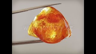 Okno do baltského jantaru PO-31