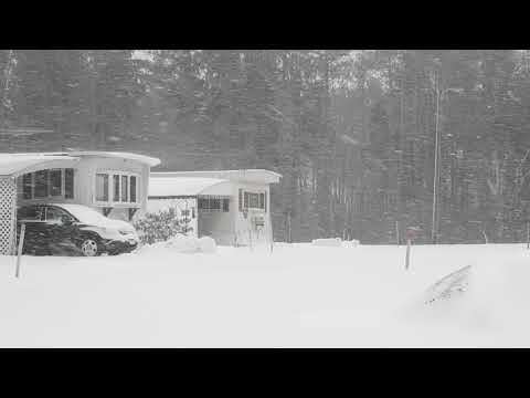 Snowstorm continues 1/19/20