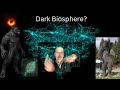 The Evolution of Shapeshifting Dark Plasma Life Forms on Earth