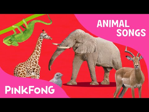 ABC Animal Train | Animal Songs | PINKFONG Songs for Children