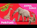 ABC Animal Train Animal Songs PINKFONG Songs For Children