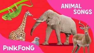 ABC Animal Train | Animal Songs | PINKFONG Songs for Children