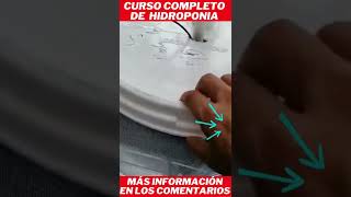 curso de hidroponia bruno palma #shorts