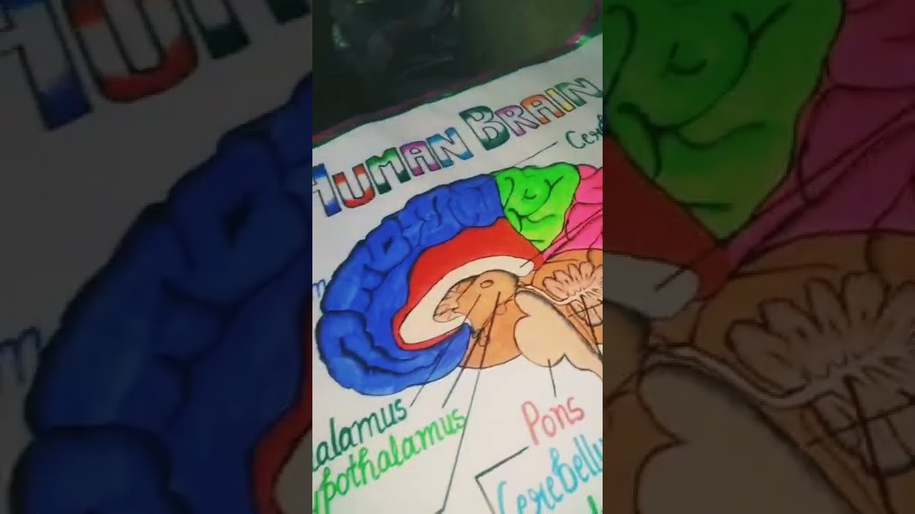 #human #brain 🧠 😜😜 (khopdi)😁😂