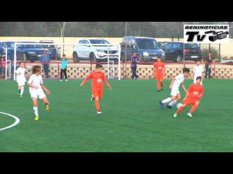 ALEVIN A FUNDACION   - IDEIA