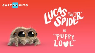 Lucas the Spider - Puppy Love - Short