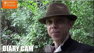 Diary Cam - Can a small Channel get promoted on the Youtube Home page? Possible or Impossible?