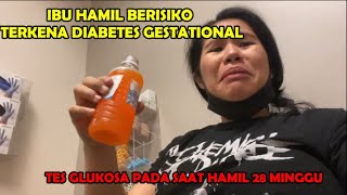 Download lagu DIABETES GESTATIONAL PADA IBU HAMIL- TES GLUKOSA DI AMERIKA mp3 Download lagu DIABETES GESTATIONAL PADA IBU HAMIL- TES GLUKOSA DI AMERIKA mp3