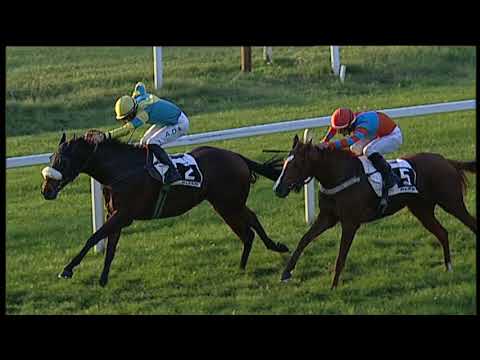 2018-11 -11 Corsa 6 Metri 1200 Premio Orsenigo