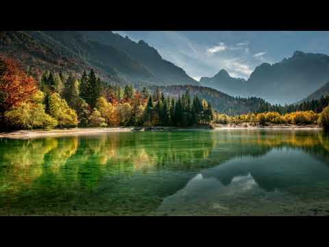 Me Qiu Komshiu Sepse Burri