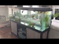 Top Fin 125 Gallon Aquarium Reviews