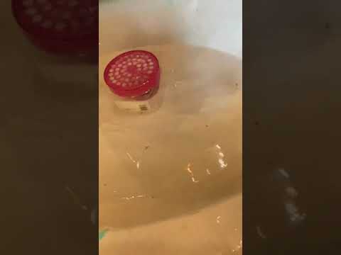 EXP 1001 or 1001 lol aka The final Orby experiment￼