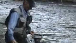 preview picture of video 'Flyfishing in Maine: Catching a Salmon'