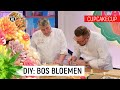 WIE GEEF JIJ EEN BLOEMETJE? ? | CupCakeCup | NPO Zapp