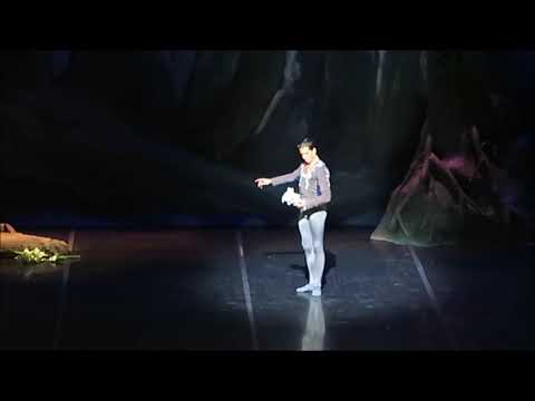 Ciro Tamayo & Paula Penachio - Final Pdd 1 Act. II Giselle BNS