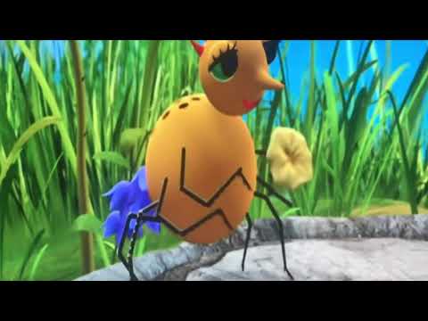 Miss Spider’s sunny patch friends stumped