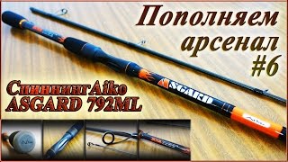 Айко асгард спиннинг