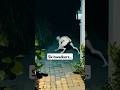 Skinwalkers Are Back Horror Creepy Skinwalker Terrifying Scary