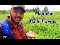 Exploring Madurai Malli Farms Vlog