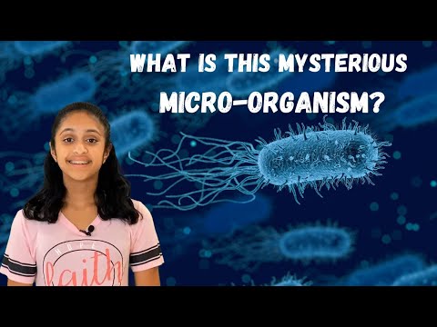 Breakthrough Junior Challenge 2021 | A Mysterious Microorganism