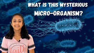 Breakthrough Junior Challenge 2021 | A Mysterious Microorganism