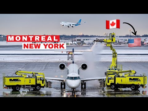 🇨🇦 Montreal - New-York JFK 🇺🇸 Delta Comfort + COMFORT + [FULL FLIGHT REPORT]