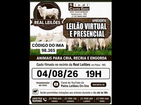 152º Leilão Virtual - Real Leilões - Pains MG