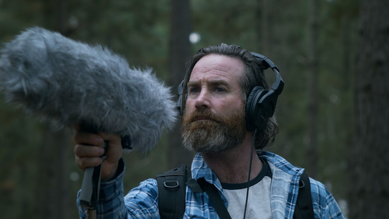 Within the Pines (2025) | Official Trailer