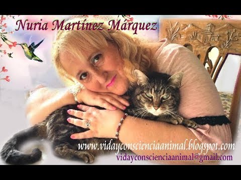Un hombre canta a los animales y les encanta