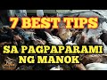7 BEST TIPS SA PAGPAPARAMI NG MANOK