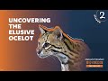 Uncovering The Elusive Ocelot | Mutual of Omaha's Wild Kingdom The Podcast