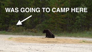 Bear Encounter Delays Full Thursday Video