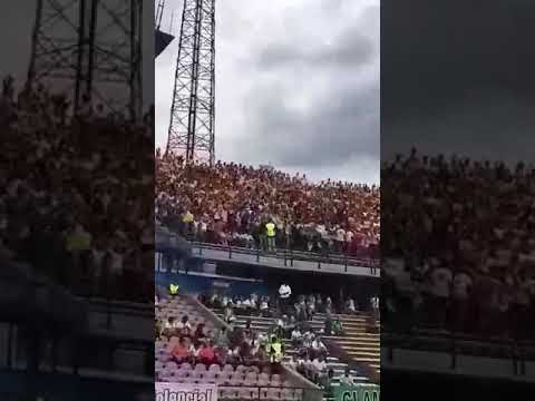 "Deportivo Pereira vs atletico nacional Lobo Sur Pereira pte en Medellín" Barra: Lobo Sur • Club: Pereira