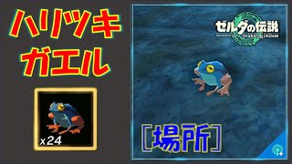 【ゼルダの伝説ティアキン】「ハリツキガエル」がやたらと手に入るオススメ回収ゾーンを紹介！