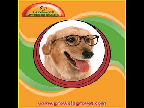 Corporate_Video