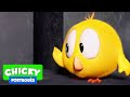 Onde Está Chicky 2020 LABIRINTO Desenhos Animados Infantil