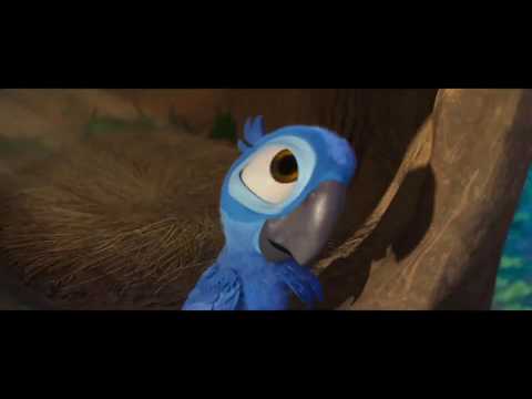 Rio - Vengan Todas Las Aves (Español Latino)