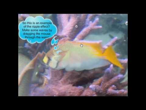 Fish tank Flash effect