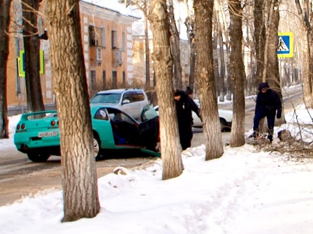 Автомобилю помешало дерево