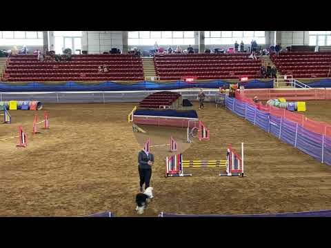 Smitten Agility 5/28/21-5/31/21 Fletcher, NC