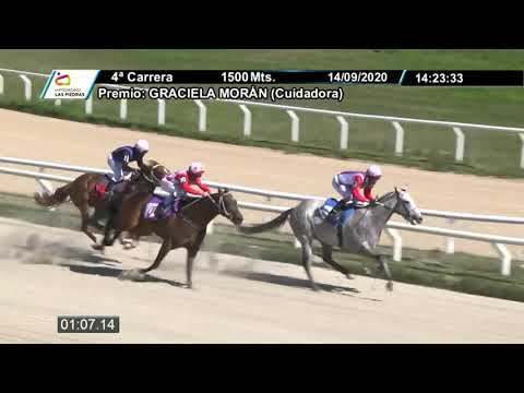 LP 200914 c04 -  WANDERERS 1º