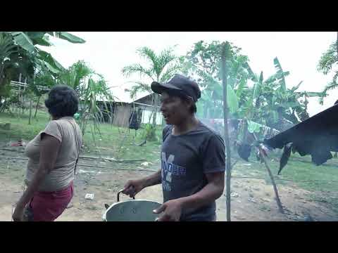 Los rituales en la medicina tradicional del pueblo NUKAK