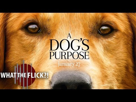 A Dog's Purpose - Official Movie Review