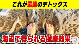 【必見】激しい運動は不要。海辺で始めるやさしい健康習慣