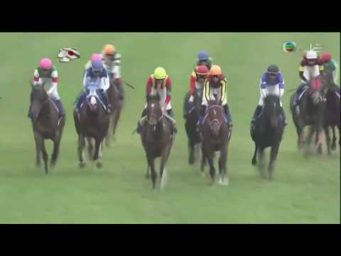 2016 Tenno Sho Autumn International Group 1 2000m