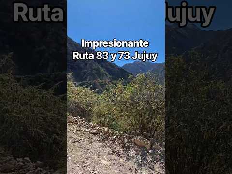 Ruta Provincial 83 y 73 Jujuy.#ruta83jujuy #ruta73jujuy #jujuy