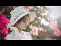 Cinderella Status New WhatsApp Status Hy Creations