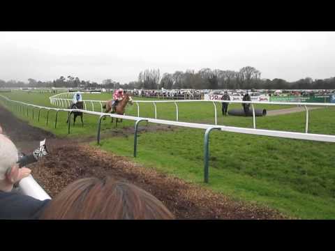 Boxing Day Races 2014